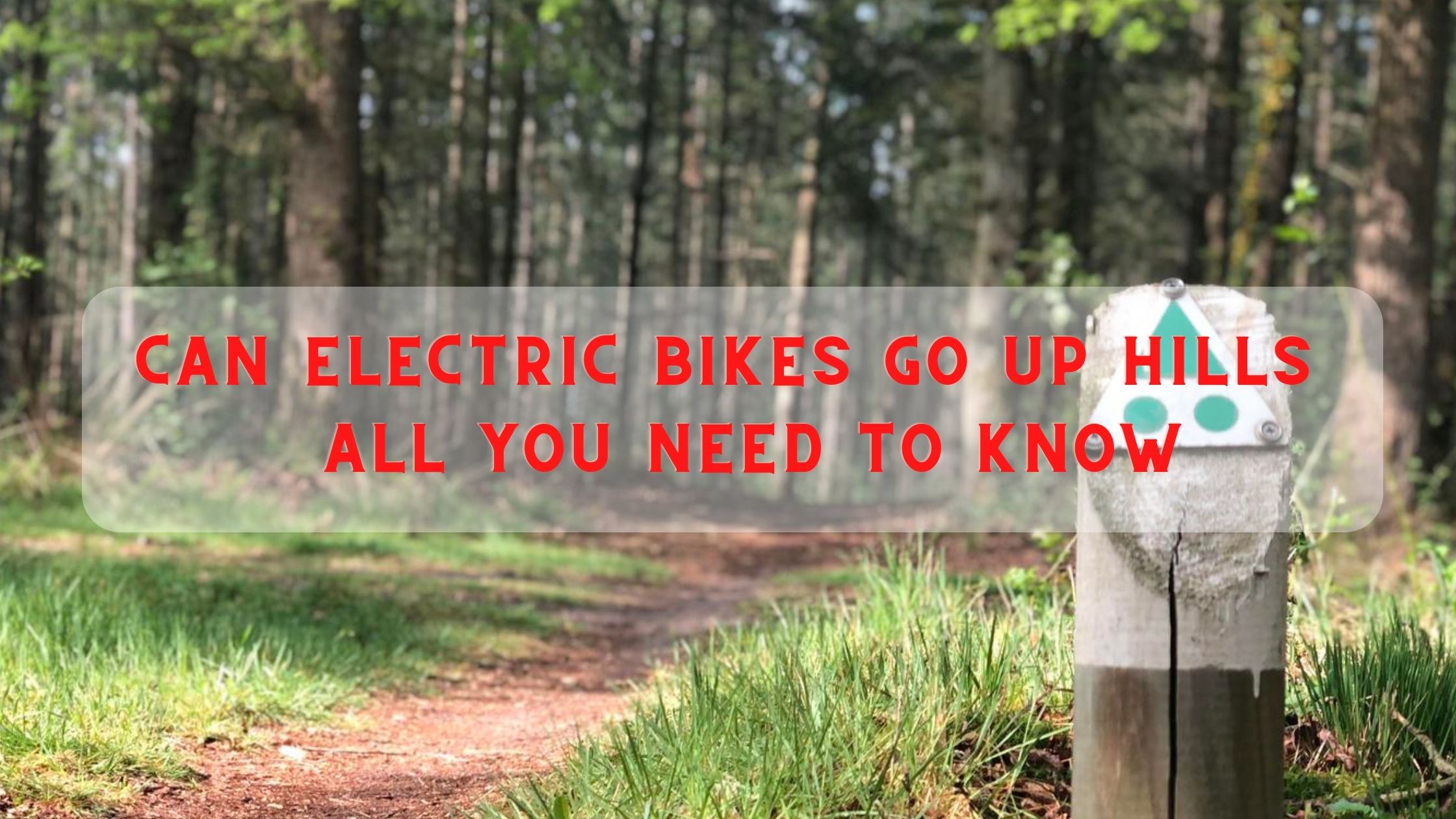 Can Electric Bikes Go Up Hills